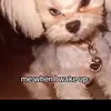leeynnchavers - @mr.him235 - TikTok
