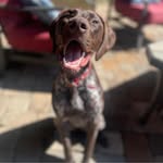 Lee Ann Waggoner Cheatham - @waggonercheatham - Instagram