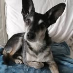 leenacherubini - @leenacherubini - Instagram