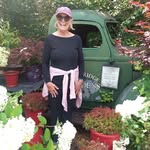 cheryl Lee chesnut - @cherylleechesnut - Instagram