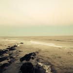 Lee Chetty - @lee.chetty777 - Instagram