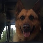 Lee Choate - @marvin42445 - Instagram