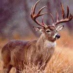Lee Clary Bubba - @nclary2527905aolcom - Instagram