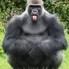 leeclary69 - @leeclary69 - TikTok