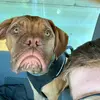 Clifton Lee - @cliftonlee - TikTok