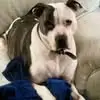 leecoburn - @lee.coburn1 - TikTok
