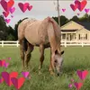 Roxanne Lee Cockrell - @roxanneleecockrel - TikTok