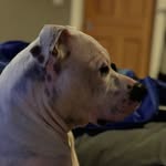 Bella Lee Coggin - @bellatrix_lee - Instagram