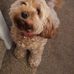 Lee Colquhoun - Facebook