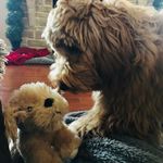 Lee Conrad - @leeconrad3 - Instagram
