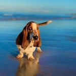 Lee Conroy - @lee.conroy.507 - Instagram
