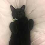 Lee Conroy - @lee.conroy.148 - Instagram