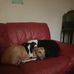 Lee Coomber - Facebook