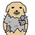 adi - @leecopain - Instagram