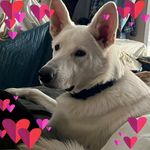 Lee Coppage - @lee.coppage - Instagram
