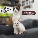 Lee e Manu - @lee_manu_cordeiro - Instagram