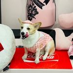 코니 - @lee_corny - Instagram