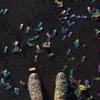 lee.s.cornell - @lee.s.cornell - TikTok