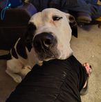 Carmen Lee Cornish - Facebook