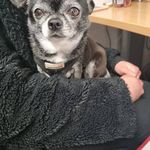 Lee Cornish - @pastyhead69 - Instagram