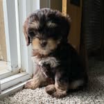 Tobin Lee Coyle - @tobinlee24 - Instagram