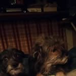 Lee Crosby - @lcrosby988 - Instagram