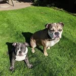 Lee Crosby - @lee.crosby.378 - Instagram