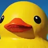 leecrosby274 - @leecrosby274 - TikTok