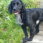 Lee Currie - @leecurrie69 - Instagram