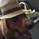 Lee Cuthbert - @cuthberto1979 - Instagram