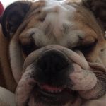 Lee Cuthbert - @ljcuthbert - Instagram