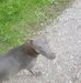 Lee Cuthbert - Facebook