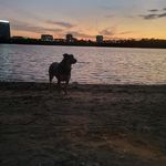 Lee Daigle - @hellboundfitness - Instagram