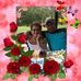 Lee Danner - Facebook