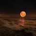 Lee Deal - Facebook
