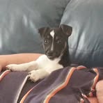 Lee Debnam - Facebook