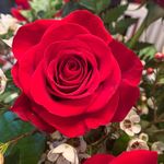 Terri Lee Delp - @terridelp - Instagram