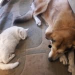 Lee Derby - @derby9991 - Instagram
