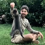 Lee Deutsch - @leedoych - Instagram
