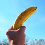 Lee Diaz - @leevoodo4u - Instagram