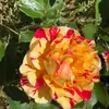 ChristineLeeDoty - @christineleedoty - TikTok