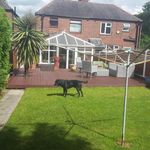 lee downey - @downey3512 - Instagram