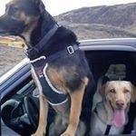 Lee Downs - @downs4569 - Instagram