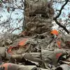 Lee Eagleburger - @lee.eagleburger - TikTok