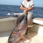 Jerry Lee Eastman - @jerryleeeastman - Instagram