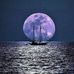 Lee Ehrlich - Facebook