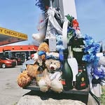 Lee Eiland - @littotrynamakeit - Instagram