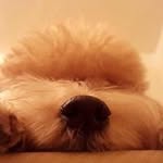 Elder Lee - @lee.elder - Instagram