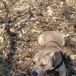 Lee Eldridge - @justineldridge000 - Instagram