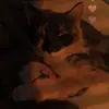 Lee Eldridge - @lee.eldridge2 - TikTok